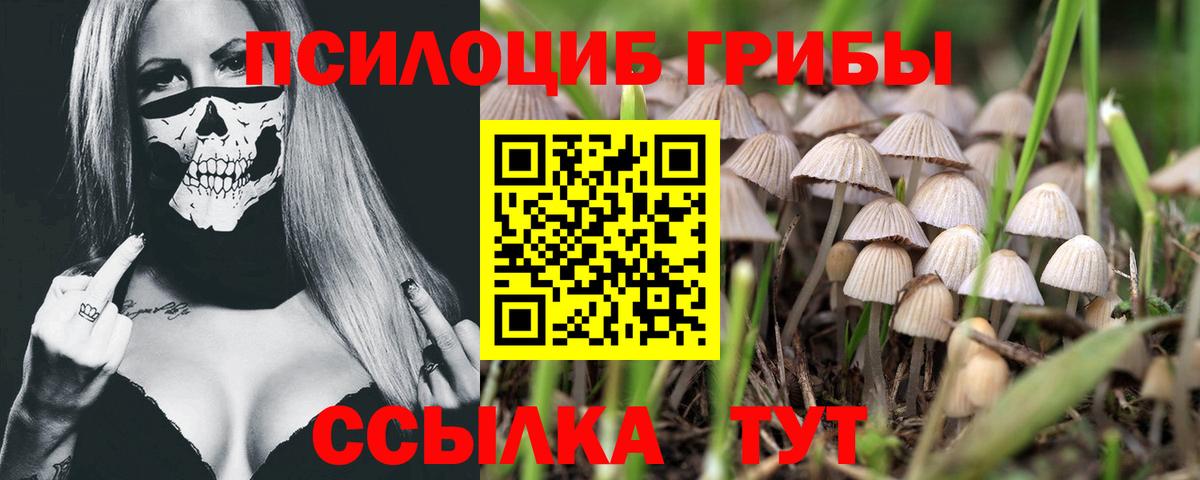 Новосибирск  Cocaine  ГАШИШ  Купить закладку  Мефедрон кристаллы  Вход с VPN  Марихуана 