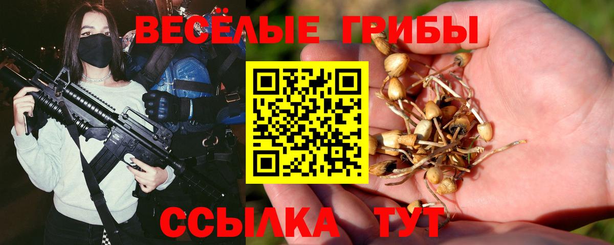 Псилоцибиновые грибы мицелий  Вход с VPN  Галлюциногенные грибы GOLDEN TEACHER  Новосибирск 